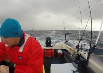 Image: Shane Chalker